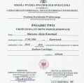 Powiększ obraz: certificate 2