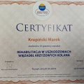 Powiększ obraz: certificate 14