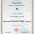 Powiększ obraz: certificate 3