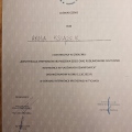 Powiększ obraz: certificate 5