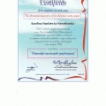 Powiększ obraz: certificate 7