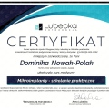 Powiększ obraz: certificate 4