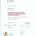 Powiększ obraz: certificate 6