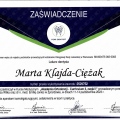 Powiększ obraz: certificate 5