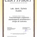 Powiększ obraz: certificate 8