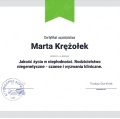 Powiększ obraz: certificate 5