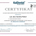 Powiększ obraz: certificate 5