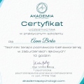 Powiększ obraz: certificate 2