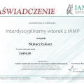 Powiększ obraz: certificate 223