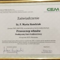 Powiększ obraz: certificate 2