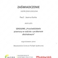 Powiększ obraz: certificate 4