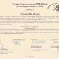 Powiększ obraz: certificate 1