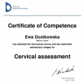 Powiększ obraz: certificate 6