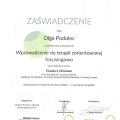 Powiększ obraz: certificate 20