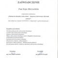 Powiększ obraz: certificate 1
