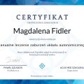 Powiększ obraz: certificate 24