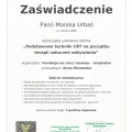 Powiększ obraz: certificate 11