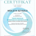 Powiększ obraz: certificate 11