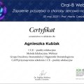 Powiększ obraz: certificate 21