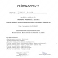Powiększ obraz: certificate 6