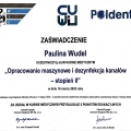 Powiększ obraz: certificate 4