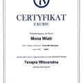 Powiększ obraz: certificate 2
