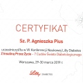 Powiększ obraz: certificate 6