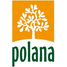 POLANA Ośrodek Terapii Uzależnień i Pomocy Psychologicznej