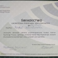 Powiększ obraz: certificate 1