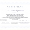 Powiększ obraz: certificate 2