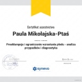 Powiększ obraz: certificate 20