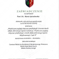 Powiększ obraz: certificate 7