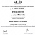 Powiększ obraz: certificate 5