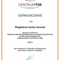Powiększ obraz: certificate 4