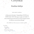 Powiększ obraz: certificate 7