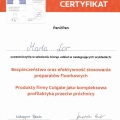 Powiększ obraz: certificate 7