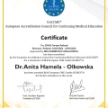 Powiększ obraz: certificate 7
