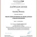 Powiększ obraz: certificate 4