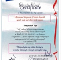 Powiększ obraz: certificate 23