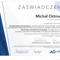 Powiększ obraz: certificate 10