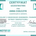 Powiększ obraz: certificate 2