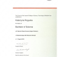 Powiększ obraz: certificate 6