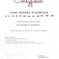 Powiększ obraz: certificate 5