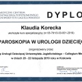 Powiększ obraz: certificate 3