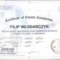 Powiększ obraz: certificate 4