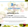 Powiększ obraz: certificate 12