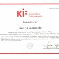 Powiększ obraz: certificate 8