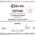 Powiększ obraz: certificate 29