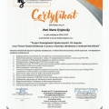 Powiększ obraz: certificate 1