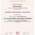 Powiększ obraz: certificate 31